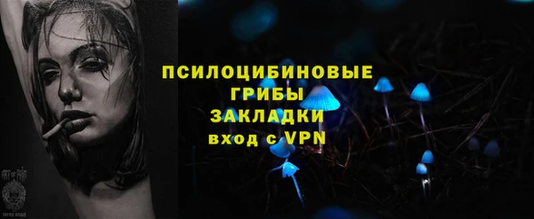 дживик Новозыбков